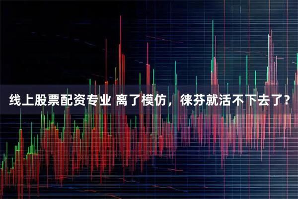 线上股票配资专业 离了模仿，徕芬就活不下去了？